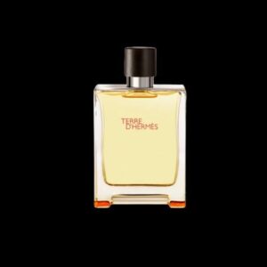 عطر تيري دي هيرمز للرجال من هيرمز – اودي تواليت - 100مل